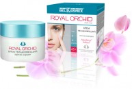 A vonal az arc - Royal Orchid (orchidea) A vonal az arc - Royal Orchid