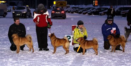 Loukkaharjun-kennel - найстаріший розплідник Фінляндія