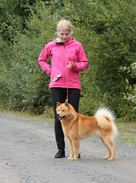 Loukkaharjun-kennel - найстаріший розплідник Фінляндія