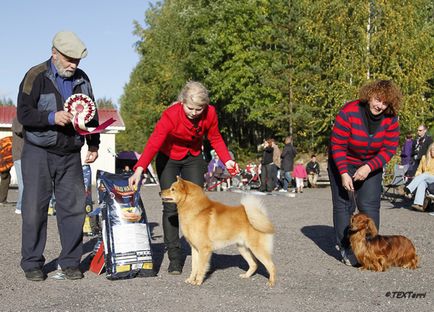 Loukkaharjun-kennel - cea mai veche pepinieră din Finlanda