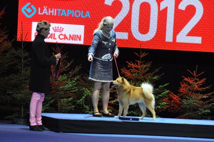 Loukkaharjun-kennel - найстаріший розплідник Фінляндія