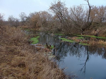 Ловля щуки в листопаді на спінінг і не тільки