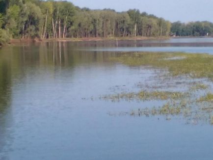 Слабка хмарність, невеликий дощ, гроза