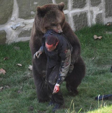 Un urs mușcă un om într-o grădină zoologică, toți supraviețuiesc, în fălcile animalelor