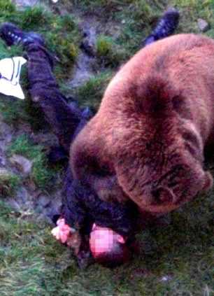 Bear хапе човек в зоологическата градина, всички оцелели, в челюстите на животни