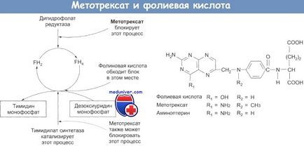 Metotrexat pentru chimioterapia cancerului