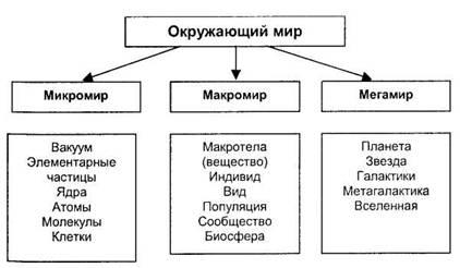 мікро світ