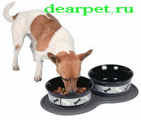 Bowls pentru câini, care sunt boluri pentru câini, fotografie, alimentare auto, masina, feluri de mâncare pentru