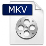 Mkv player descărca gratuit versiunea rusă pentru Windows fără înregistrare