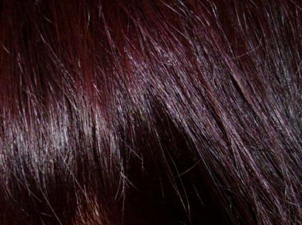 Модний колір волосся 2017 года фото жіночі тенденції, весна літо, який найбільш