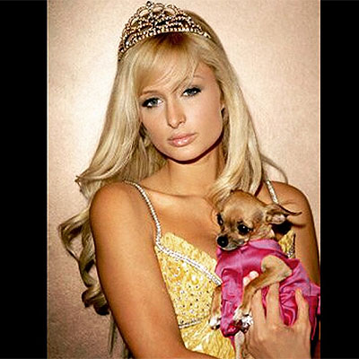 Inima mea este spartă Paris Hilton se plânge de moartea lui Tinkerbell, bârfa