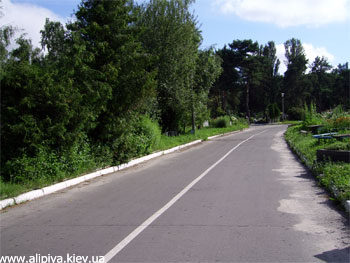 Могилка Аліпії на лесномматушка Аліпія, молі христа бога врятуватися душам нашим! здобувати любов