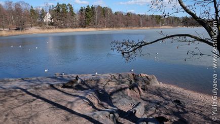 Muzeul de pe insula Seurasaari din Helsinki