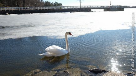 Muzeul de pe insula Seurasaari din Helsinki