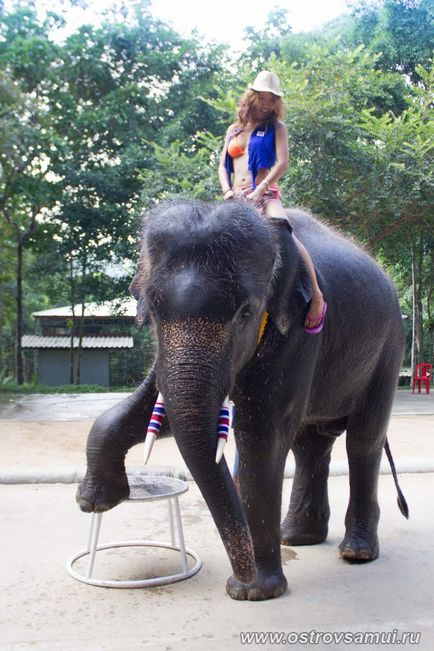 Namuang safari parc - Namuang safari parc, insula Koh Samui