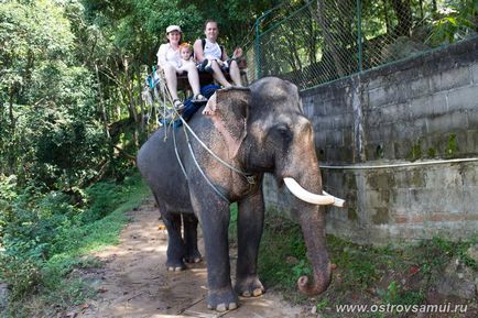 Намуанг сафарі парк - namuang safari park, острів Самуї