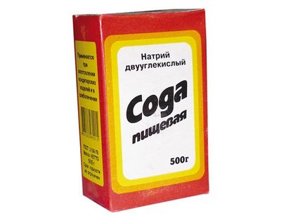 Народні засоби від бліх у собак кішок лікування в домашніх умовах