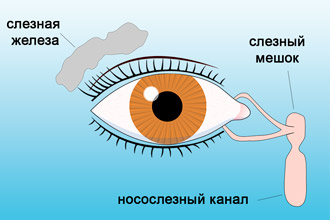 Coryza, ochi lacrimi și strănut într-o persoană - cauzele și tratamentul congestiei nazale