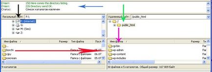 Configurarea clientului ftp filezilla