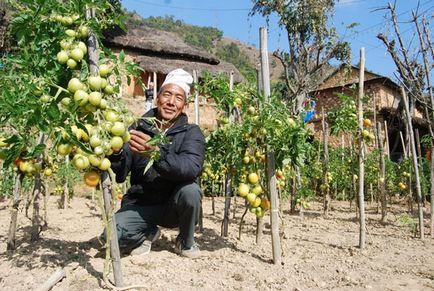 Producția naturală, principalele sale trăsături