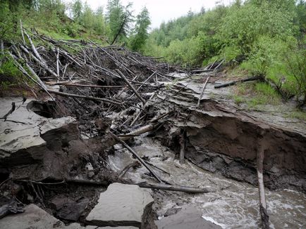 Exploatarea ilegală a colților mamut, mai proaspete - cel mai bun Runet pentru zi!