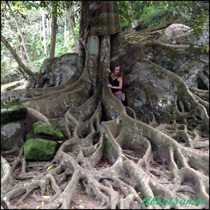 Nu este atât de înfricoșător bali, așa cum este pictat - despre samui