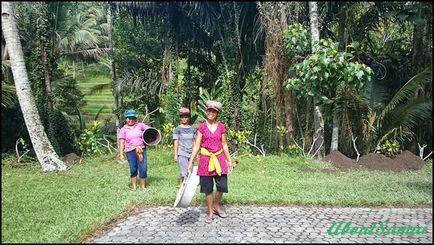 Не такий страшний бали як його малюють - about samui