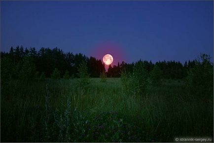 Noapte în pădure