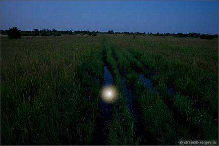 Noapte în pădure