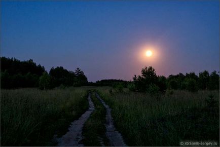 Noapte în pădure