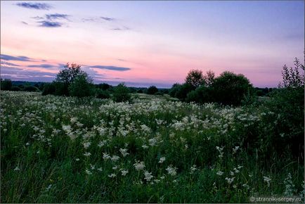 Noapte în pădure