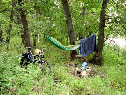 Noapte în pădure - vânt în câmp