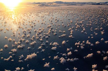 Aproximativ 20 de fotografii uimitoare ale lacurilor înghețate, iazurilor și oceanelor, ca și cum ar apărea de la altul