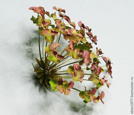 Experimente pentru a crea un herbar tridimensional sau cum să păstreze flora în forma sa originală