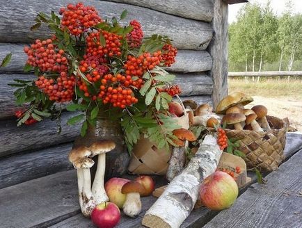 Tendințele de toamnă în florărie - puțin câte puțin