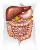 Pancreatită acută și cronică