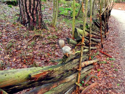 Insula Seurasaari - muzeu de arhitectură finlandeză în aer liber din Helsinki (fotografie video)