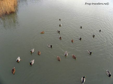 Insula Seurasaari - muzeu de arhitectură finlandeză în aer liber din Helsinki (fotografie video)