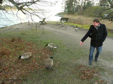 Insula Seurasaari - muzeu de arhitectură finlandeză în aer liber din Helsinki (fotografie video)