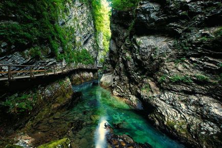 Lake Pale, slovenă - descriere detaliată cu fotografie