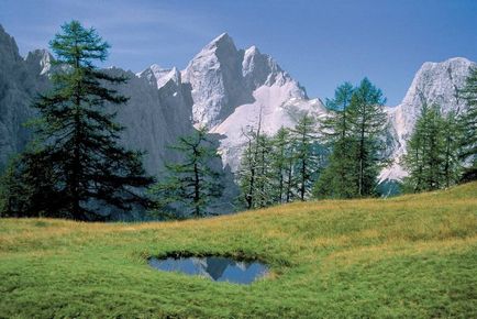 Lake Pale, slovenă - descriere detaliată cu fotografie