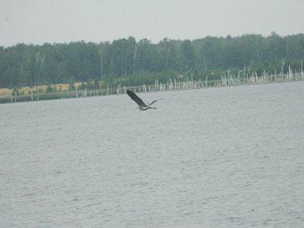 Treustan Lake - tavak Cseljabinszk régióban