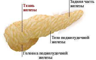 Панкреаса, панкреатична некроза, некротизиращ панкреатит като заболяване, което е,