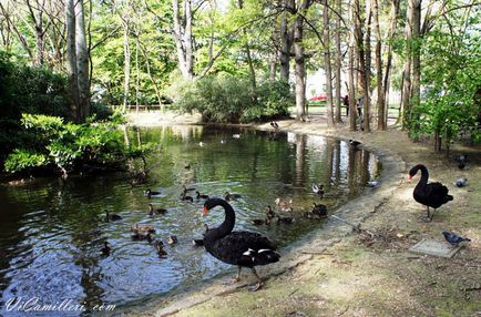 Parcul Bucci din Faenza, Italia