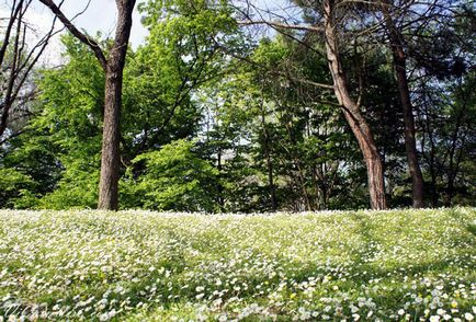 Parcul Bucci din Faenza, Italia