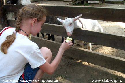 Parcul Drakino din districtul Serpukhov