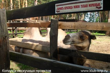 Parcul Drakino din districtul Serpukhov