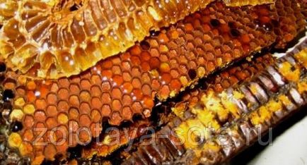 Perga albină - caracteristică generală