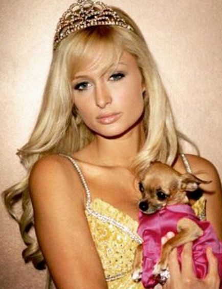 Paris Hilton moare tinkerbellul câinelui, știrile femeilor