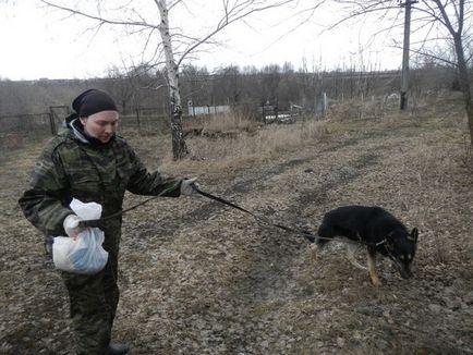 пес козака